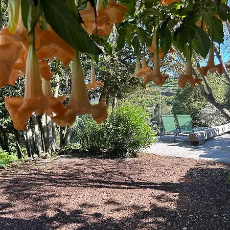La Casita Del Lagar Villa Cerrogordo Exterior photo